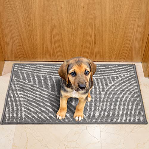 comfoyar Indoor Door Mat Dirt Trapper Absorbent Entrance Rug Non Slip Rubber Backed Machine Washable Floor Mat Front Low Profile Doormat for Indo