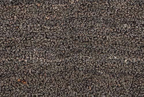 Carpido Non-slip coconut mats, antibacterial door mats, for covered outdoor use, sustainable natural fibres, 100% coconut, 40 x 60 cm, grey