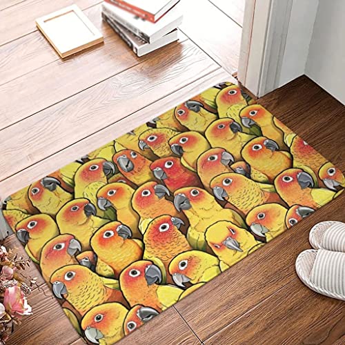 SDFGH Polyester Doormat Rug Carpet Mat Footpad Non-slip Durable Entrance Kitchen Bedroom Balcony Toilet (Color : D, Size : 60x90cm)
