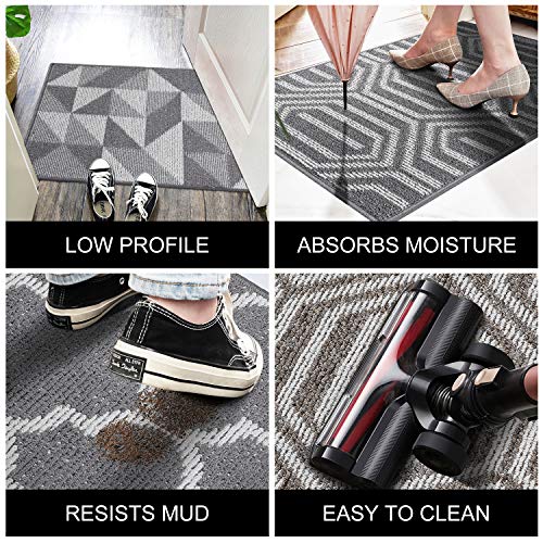 OLANLY Entrance Doormat,Non-Slip Indoor Floor Mat Low-Profile Shoes Resist Dirt Mat,Easy Clean Absorbent Water Door Mat for Home,Office, Kitchen(