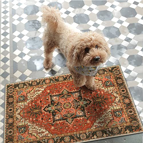 Collive Washable Indoor Door mat, Non Slip Retro Entryway Rug 20" x 32" Doormat Quick Absorbent Entrance Rug Distressed Front Door Mat, Welcome M