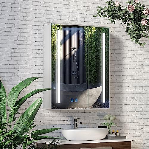 LUMIRRORS® LED Bathroom Mirror Cabinet 60x70cm with Shaver Socket Dimmable Brightness Touch-Switch Anti-fog 2-door Adjustable Shelves IP44 Illumi