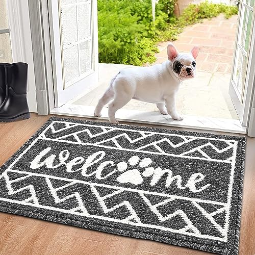 Findosom Front Door Mat, 24" x 35.5" Welcome Door Mat Indoor Entrance, Super Absorbent Dog Door Mats for Home Office Apartment Garage and Garden