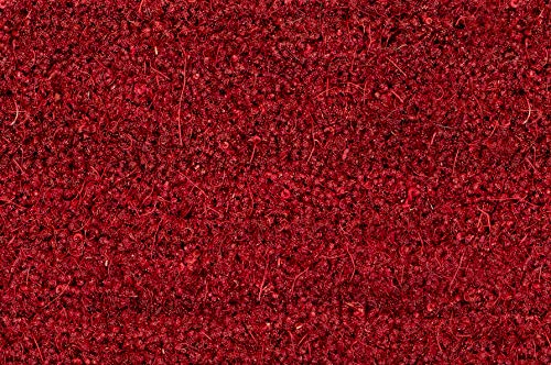 Carpido Non-slip coconut mats, antibacterial dirt trap, for covered outdoor use, sustainable natural fibres, 100% coconut, 40 x 60 cm, red