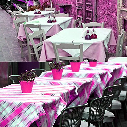 PEIUJIN 20 Pack Stainless Steel Tablecloth Clips Table Cloth Cover Clamps