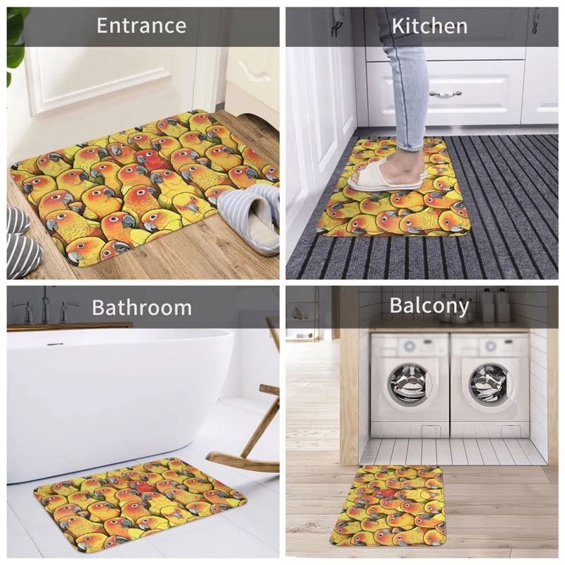 SDFGH Polyester Doormat Rug Carpet Mat Footpad Non-slip Durable Entrance Kitchen Bedroom Balcony Toilet (Color : D, Size : 60x90cm)