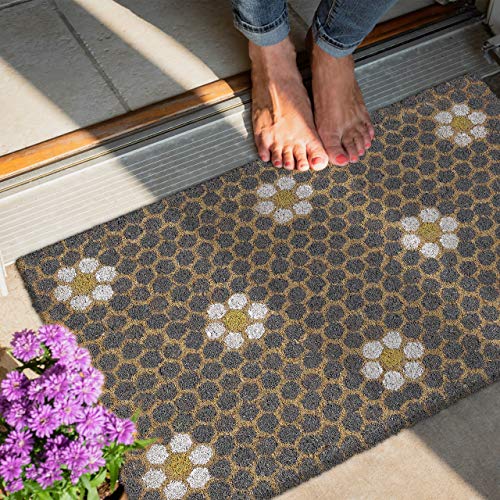 Relaxdays Doormat, Colourful Honeycomb and Flowers Motif, Door Mat Inside & Outside, 40x60 cm, Fruits, Yellow/Coir