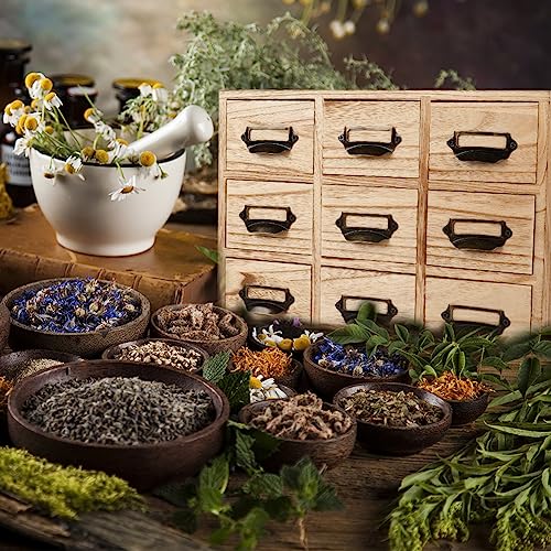 Large Library Card Catalog Cabinet: 9 Drawers Apothecary Cabinet with Metal Handles & Label Slot - Countertop Chest Drawers for Library Card Cata