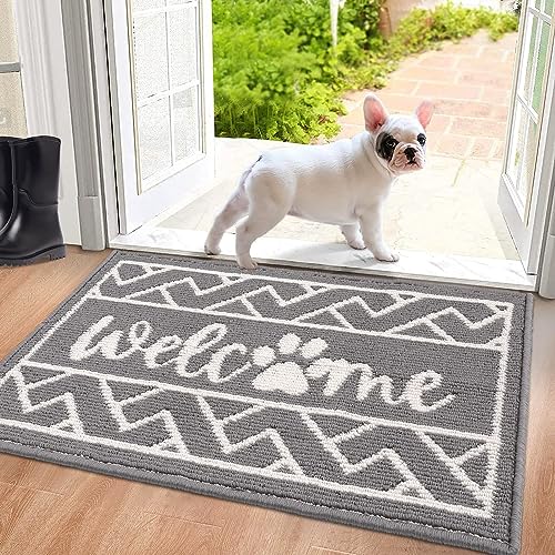 Findosom Front Door Mat, 24" x 35.5" Welcome Door Mat Indoor Entrance, Super Absorbent Dog Door Mats for Home Office Apartment Garage and Garden