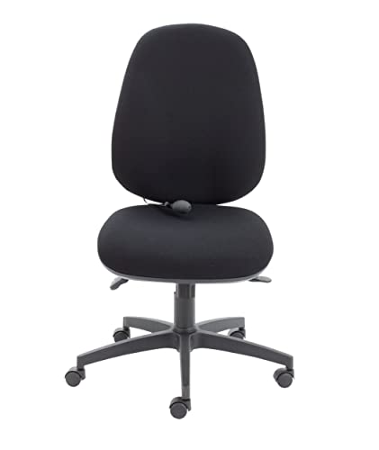 Office Hippo Physio Approved Desk Chair, Ergonomic Home & Office Chair With Adjustable Seat, Back & Lumbar Pump For Comfort & Support, Computer C