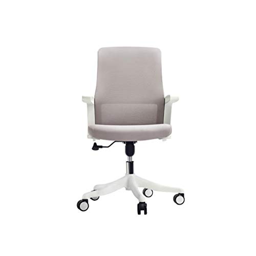 LXXSH Office Chair Back Chair Simple Modern Home Mesh Breathable Office Lift Staff Chair Conference Chair (Color : Gray)