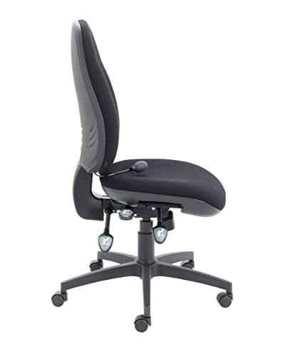 Office Hippo Physio Approved Desk Chair, Ergonomic Home & Office Chair With Adjustable Seat, Back & Lumbar Pump For Comfort & Support, Computer C