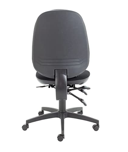 Office Hippo Physio Approved Desk Chair, Ergonomic Home & Office Chair With Adjustable Seat, Back & Lumbar Pump For Comfort & Support, Computer C
