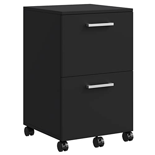 Rovaurx Office File Cabinet with 2 Drawers, Rolling Filing Cabinet, Mobile Cabinet, 5 Wheels, Suspended Folder, A4 and Letter Sized Documents, Bl