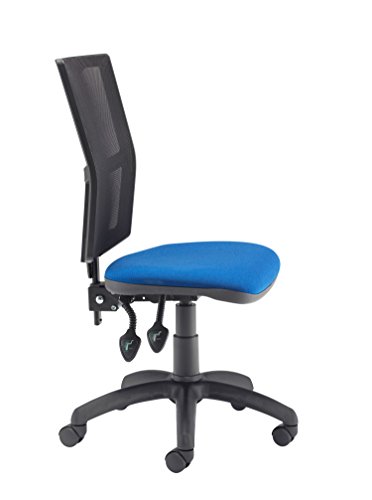Office Hippo High Back Mesh Desk Chair, Ergonomic Home & Office Chair With Height Adjustable Seat & Lumbar Support For Extra Comfort, Computer Ch