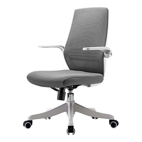 LXXSH Ergonomic Office Chair Mid-Back Home Desk Chair with Lumbar Support Small Mesh Computer Chair