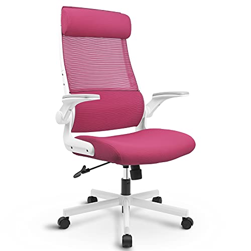 MELOKEA Ergonomic Office Chair with Neck Support, Desk Chair High Back Mesh Office Chair with S-shaped Lumbar Support Flip-up Armrests Adjustable
