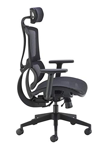 Office Hippo Ergonomic Chair Office, Mesh Office Chair with Arms, Executive Office Chair with Back Support, Adjustable Arms, Swivel, Black