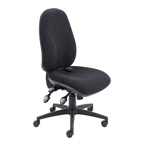 Office Hippo Physio Approved Desk Chair, Ergonomic Home & Office Chair With Adjustable Seat, Back & Lumbar Pump For Comfort & Support, Computer C