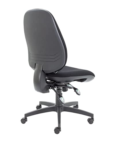 Office Hippo Physio Approved Desk Chair, Ergonomic Home & Office Chair With Adjustable Seat, Back & Lumbar Pump For Comfort & Support, Computer C