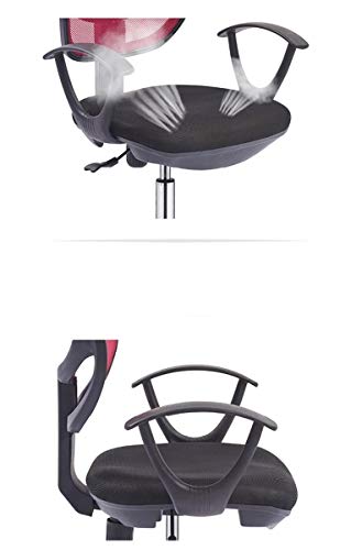 LEIGE Executive Office Chair - High Back Office Chair with Footrest and Thick Padding - Reclining Computer Chair with Ergonomic Segmented Back