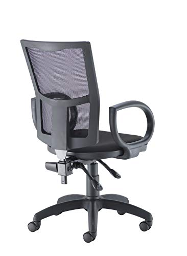Office Hippo Mesh Back Desk Chair, Ergonomic Home & Office Chair With Height Adjustable Seat, Fixed Arms & Lumbar Support For Extra Comfort, Comp