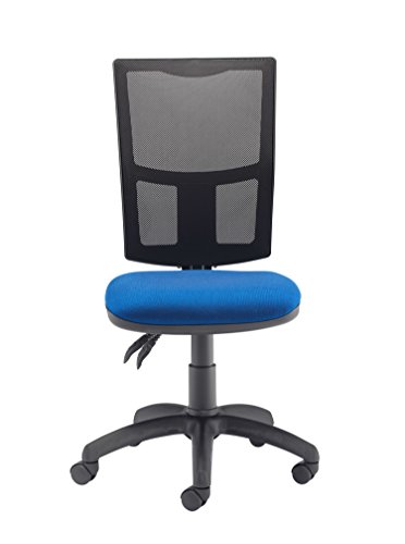 Office Hippo High Back Mesh Desk Chair, Ergonomic Home & Office Chair With Height Adjustable Seat & Lumbar Support For Extra Comfort, Computer Ch