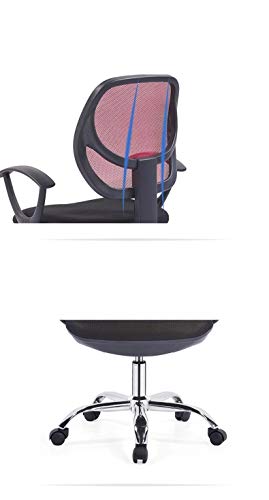 LEIGE Executive Office Chair - High Back Office Chair with Footrest and Thick Padding - Reclining Computer Chair with Ergonomic Segmented Back