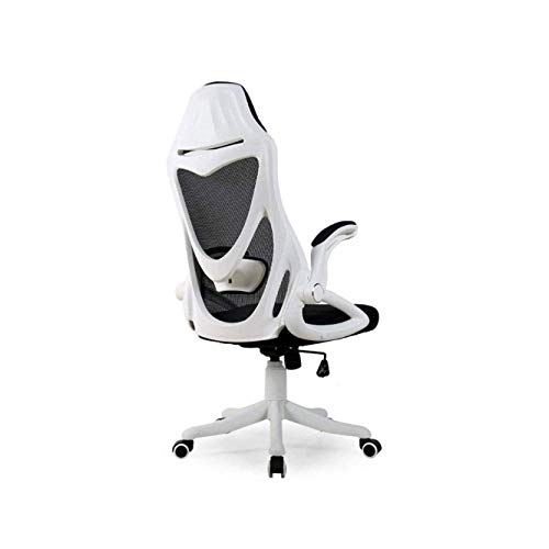 KJHD Ergonomic Office Desk Chair with Adjustable Armrest, Lumbar Support, Headrest and Breathable Skin Friendly Mesh (Color : Black)