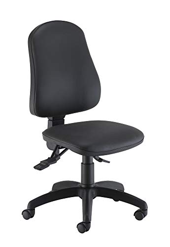 Office Hippo Desk Chair, Ergonomic Home & Office Chair With Adjustable Seat, Back & Lumbar Pump For Comfort & Support, Computer Chair With Curved