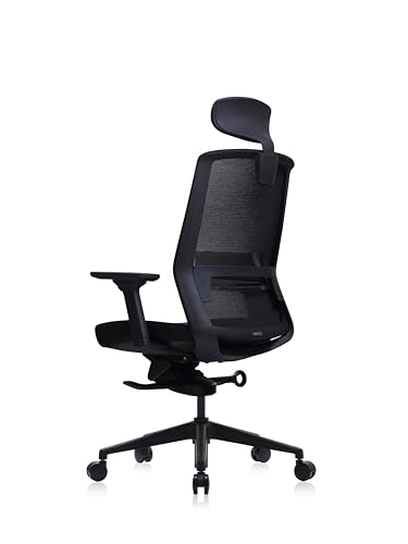 BESTUHL J17 Home Office Desk Chair - Ergonomic, High Back, 3 Lockable Recline Positions, 3-Way Armrest, Adjustable Seat Depth & Lumbar Support, B