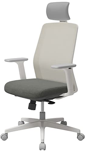 SIDIZ T40 SE Ergonomic Office Chair : Comfortable Home Office Chair for Light Users with Reclining Tilt Lock, Headrest, 3D Armrests, Mesh Back Co