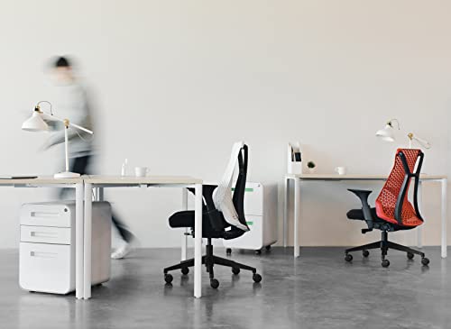 OFITURIA Office Chair Wheels, Standard