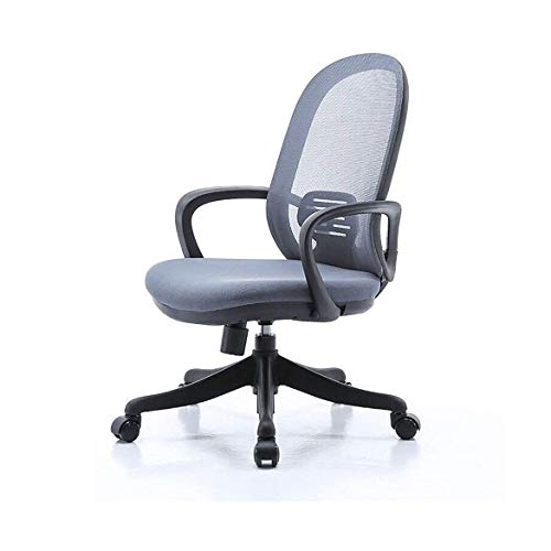LXXSH 2020 design All mesh full Fabric multifunctional comfortable Ergonomic Office Chair (Color : Argento)