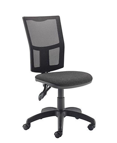 Office Hippo High Back Mesh Desk Chair, Ergonomic Home & Office Chair With Height Adjustable Seat & Lumbar Support For Extra Comfort, Computer Ch