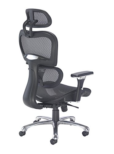 Office Hippo Ergonomic Chair Office, Office Chair with Back Support, Office Chair with Arms, Mesh, Swivel, Black