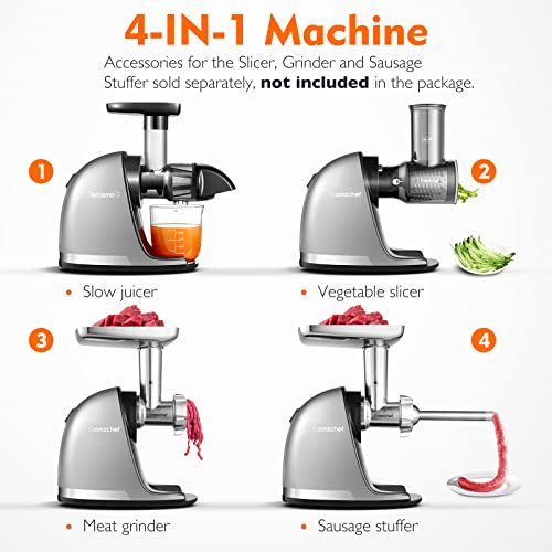 AMZCHEF Juicer Machines - Cold Press Slow Juicer - Masticating Juicer for Whole Fruits and Vegetables - Delicate Chew No Need to Filter - BPA Fre