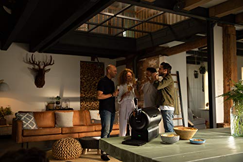 Beerwulf The SUB Compact Black UK | Draught Beer Tap for Home by Krups | 2L (Black)