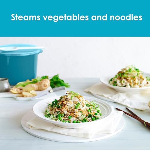 Décor Microwave Rice Cooker | Safe-Hold Handles | Makes 1-4 Servings | 2.75L Capacity, Teal