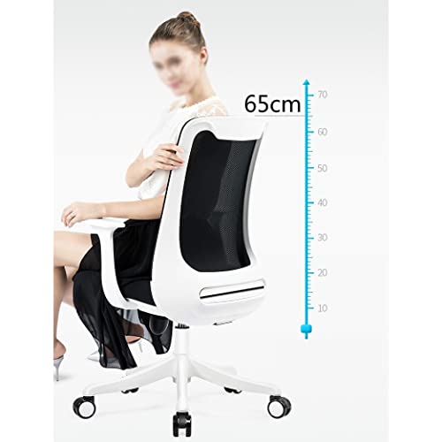 SDFGH Home Computer Chair Ergonomic Office Chair Lift Swivel Chairs Mesh Staff Chair Chaise