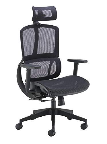 Office Hippo Ergonomic Chair Office, Mesh Office Chair with Arms, Executive Office Chair with Back Support, Adjustable Arms, Swivel, Black