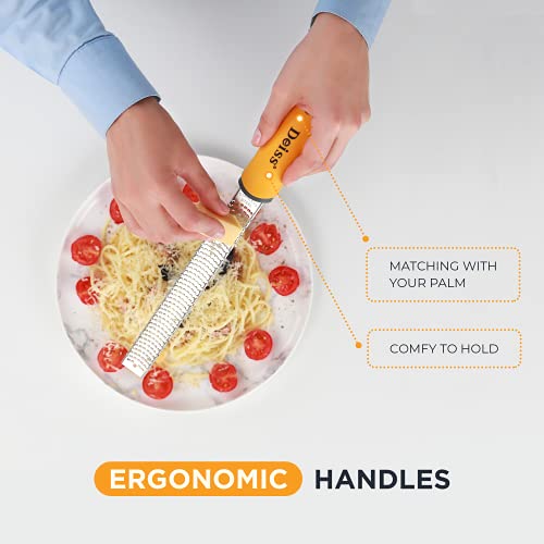 Deiss PRO Citrus Zester & Cheese Grater — Parmesan Cheese Lemon, Ginger, Garlic, Nutmeg, Chocolate, Vegetables, Fruits - Razor-Sharp Stainless St