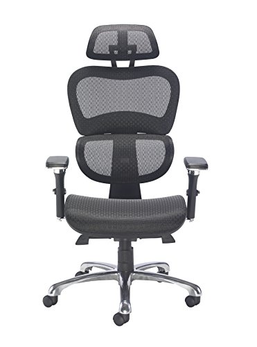Office Hippo Ergonomic Chair Office, Office Chair with Back Support, Office Chair with Arms, Mesh, Swivel, Black