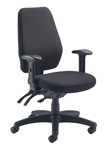 Office Hippo 24-Hour High Back Office Chair, Orthopaedic Design Chair with Adjustable Arms, Ratchet Back and Tilt, Moulded Seat & Back, 5 Year Co