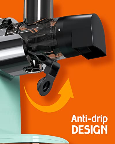 Hazel Quinn Masticating Juicer, Slow Cold Press Juicer Machines for Fruit and Vegetable, Filter-Free for Easy to Clean, 2-Speed Modes & Reverse F