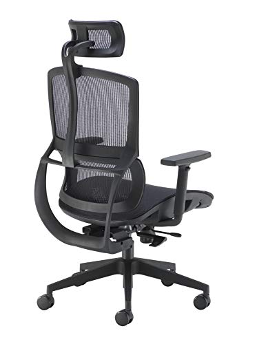 Office Hippo Ergonomic Chair Office, Mesh Office Chair with Arms, Executive Office Chair with Back Support, Adjustable Arms, Swivel, Black