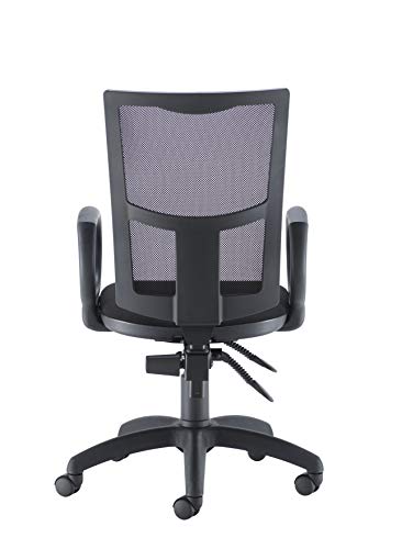 Office Hippo Mesh Back Desk Chair, Ergonomic Home & Office Chair With Height Adjustable Seat, Fixed Arms & Lumbar Support For Extra Comfort, Comp