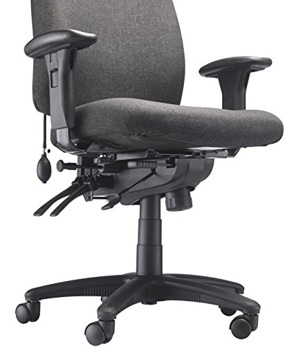 Office Hippo Heavy Duty Ergonomic Office Chair with Back Support, Desk Chair, Back, Seat & Forward Tilt Controls, Lumbar Support Office Chair, Co