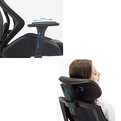 LZQDM Office Dual Function Ergonomic High Back Eco Leather Office Chair, Black