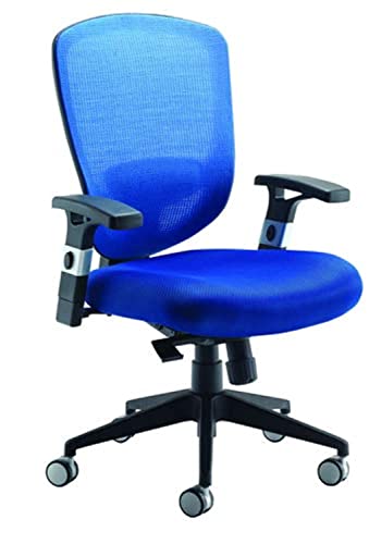 Office Hippo Desk Chair for Home Office, Mesh Office Chair with Adjustable Arms, Computer Chair, Swivel, Black